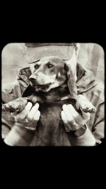 Zionn Camp 09/2022.

This has been one of my favorite camps ever.
Also this has been one of my first videos created with my Sony A7C. 

#camp #zionn #2022 #videography #videoediting #collage #paper